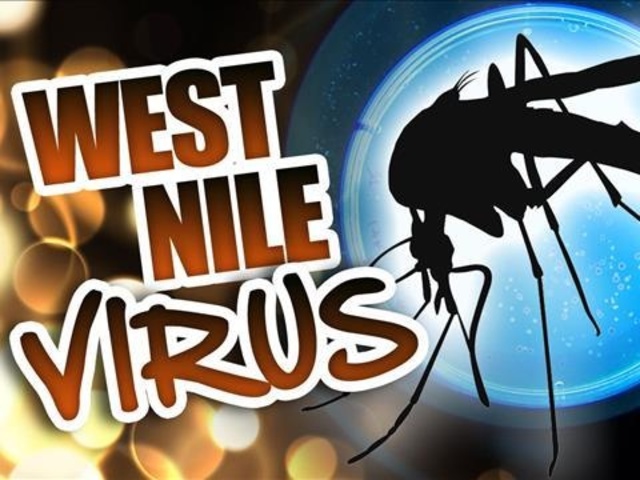 County's 7th human case of West Nile virus reported in The Colony County's 7th human case of West Nile virus reported in The Colony
